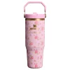 Stanley 1913 x LoveShackFancy IceFlow™ Flip Straw Tumbler | 30 OZ